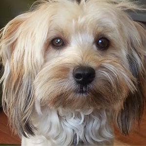 Meet your Posher, Marylouise